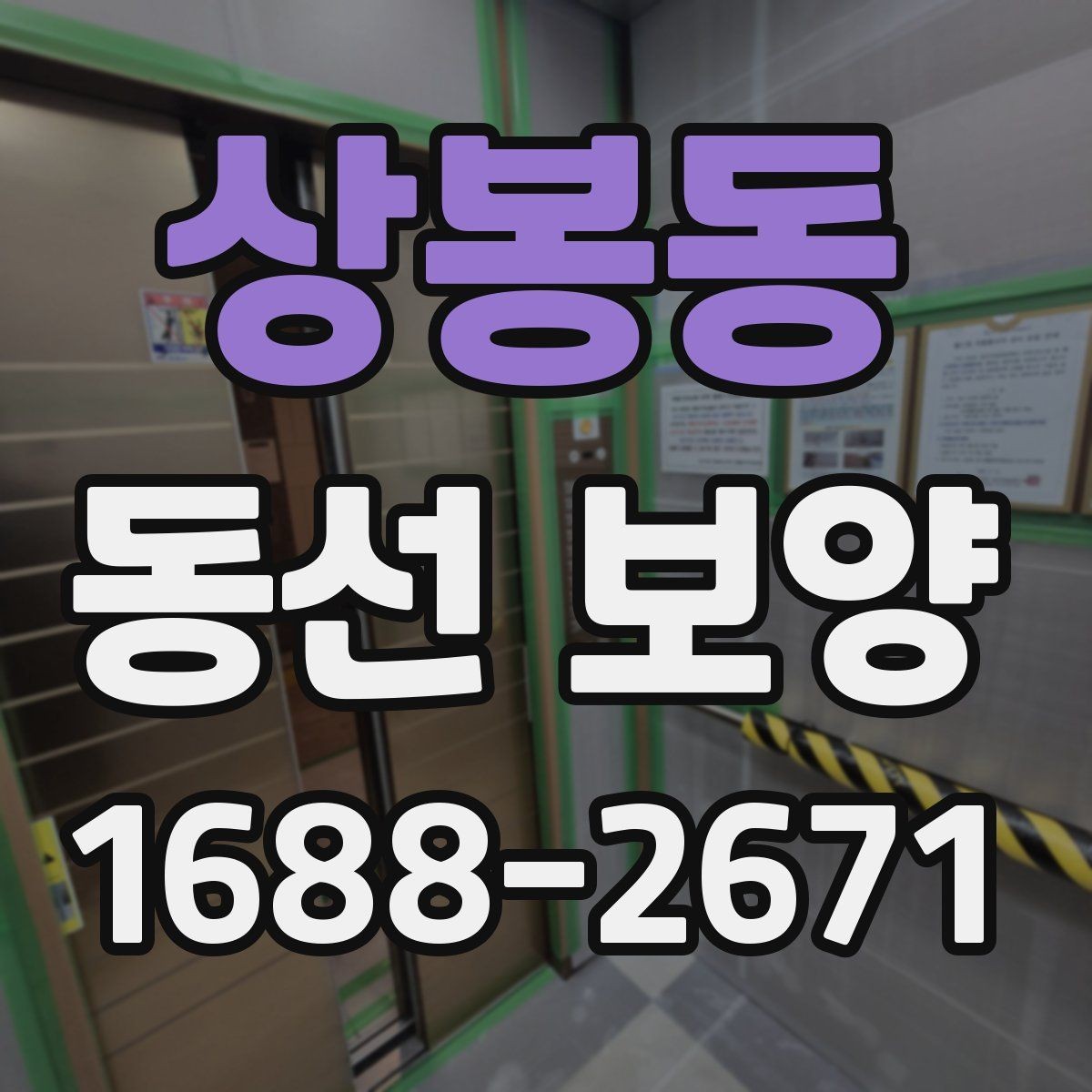 상봉동 동선 보양 시공 사례로 보는 준비 포인트