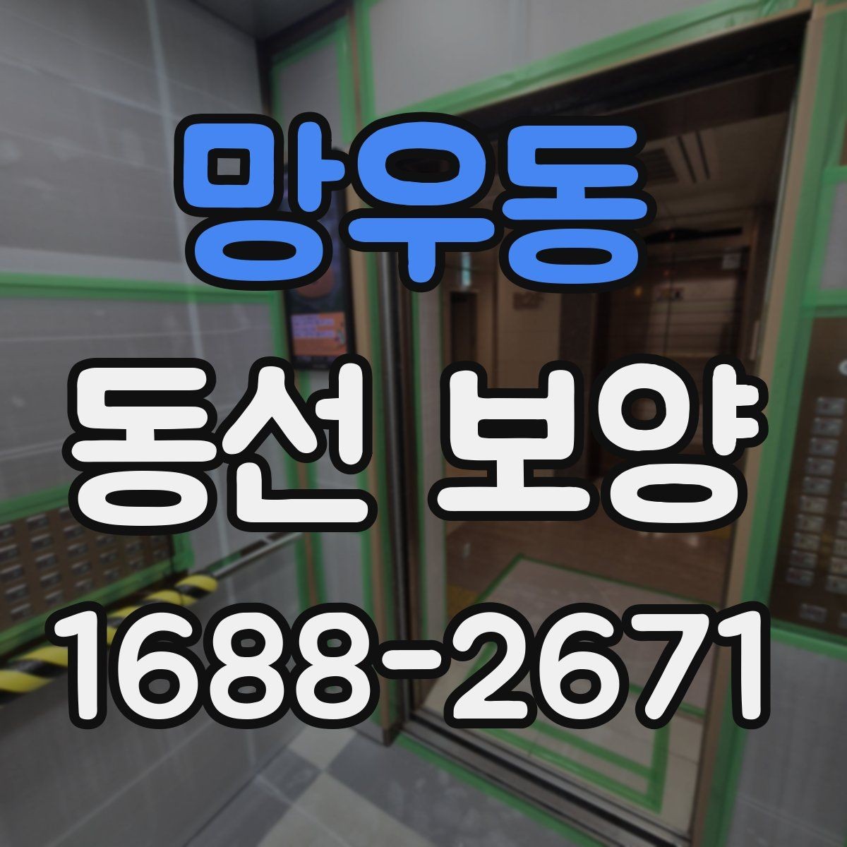 망우동 동선 보양 작업 순서와 준비 단계
