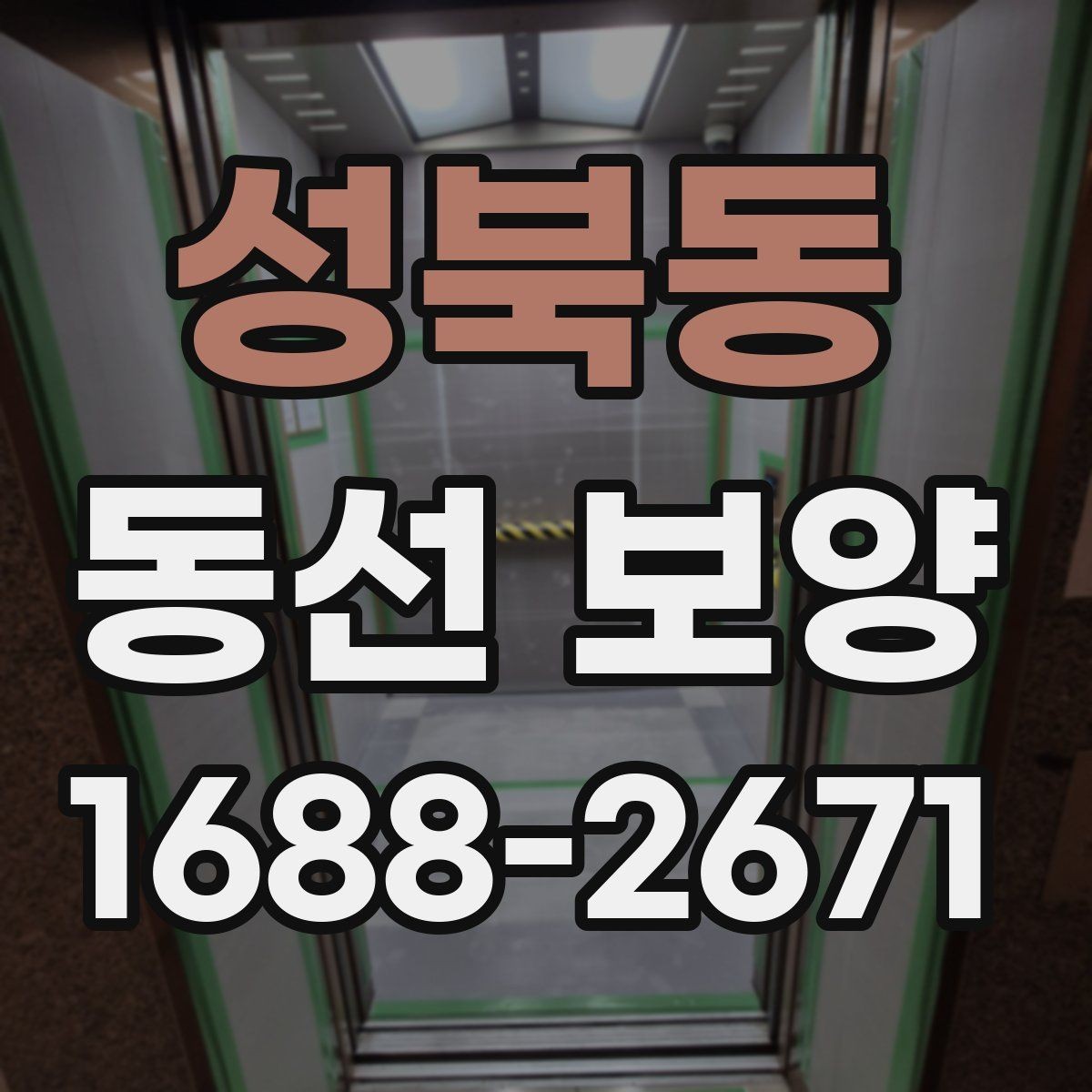 성북동 동선 보양 선택 전 확인하면 좋은 기준