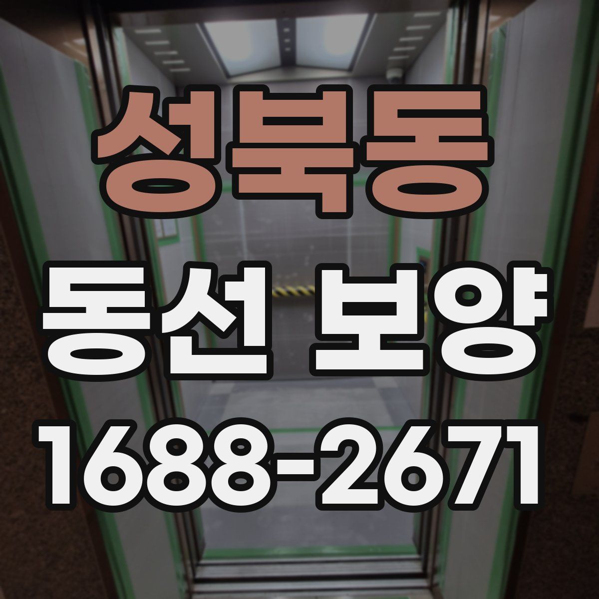 성북동 동선 보양
