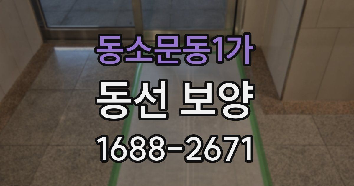 동소문동1가 동선 보양