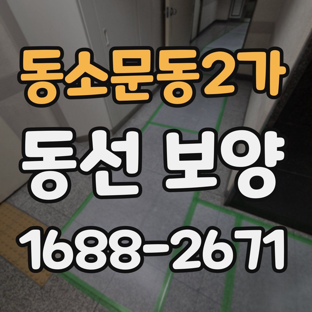동소문동2가 동선 보양 작업 후 유지 관리 팁