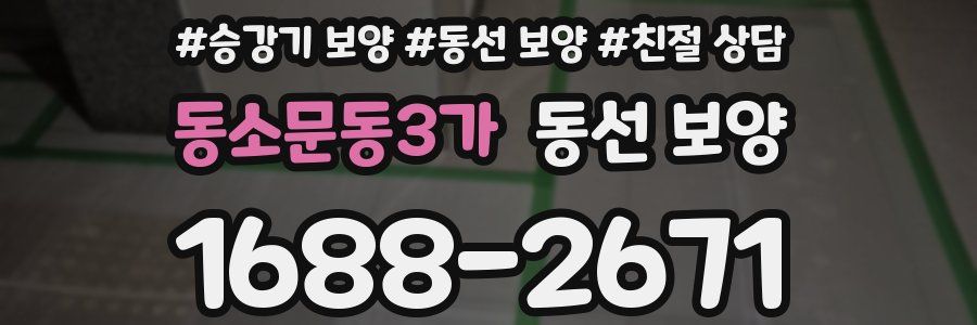 동소문동3가 동선 보양