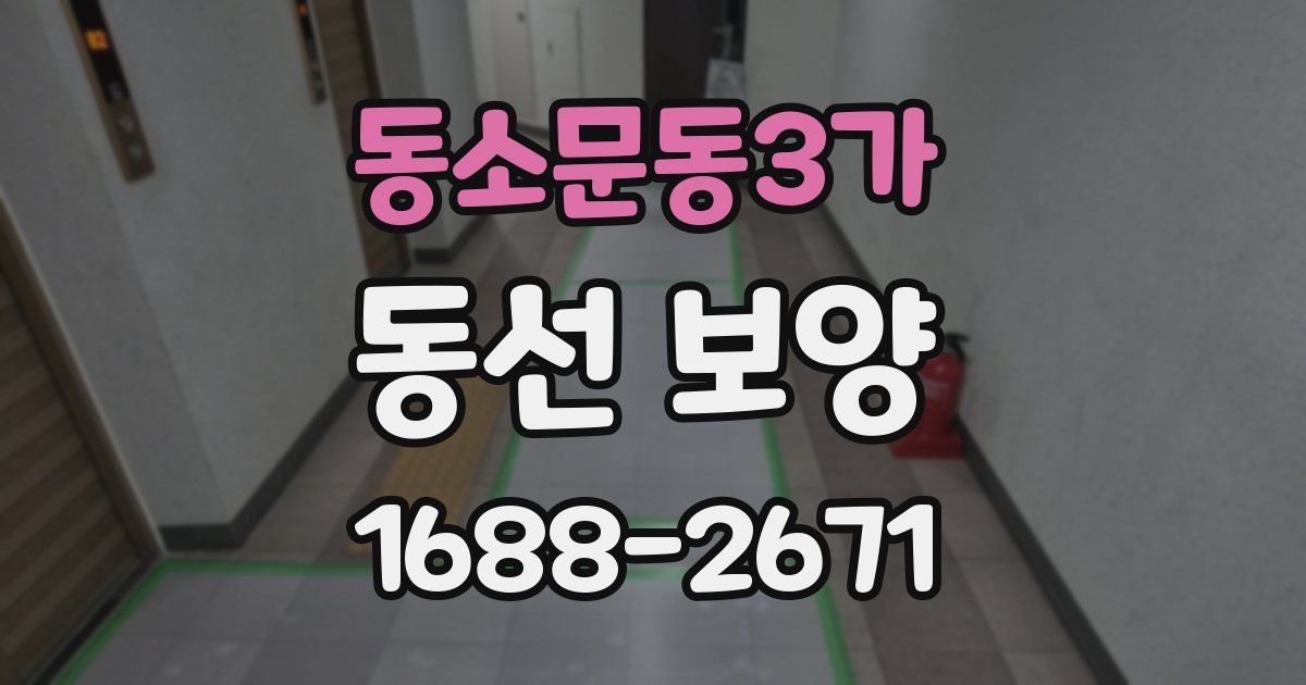 동소문동3가 동선 보양
