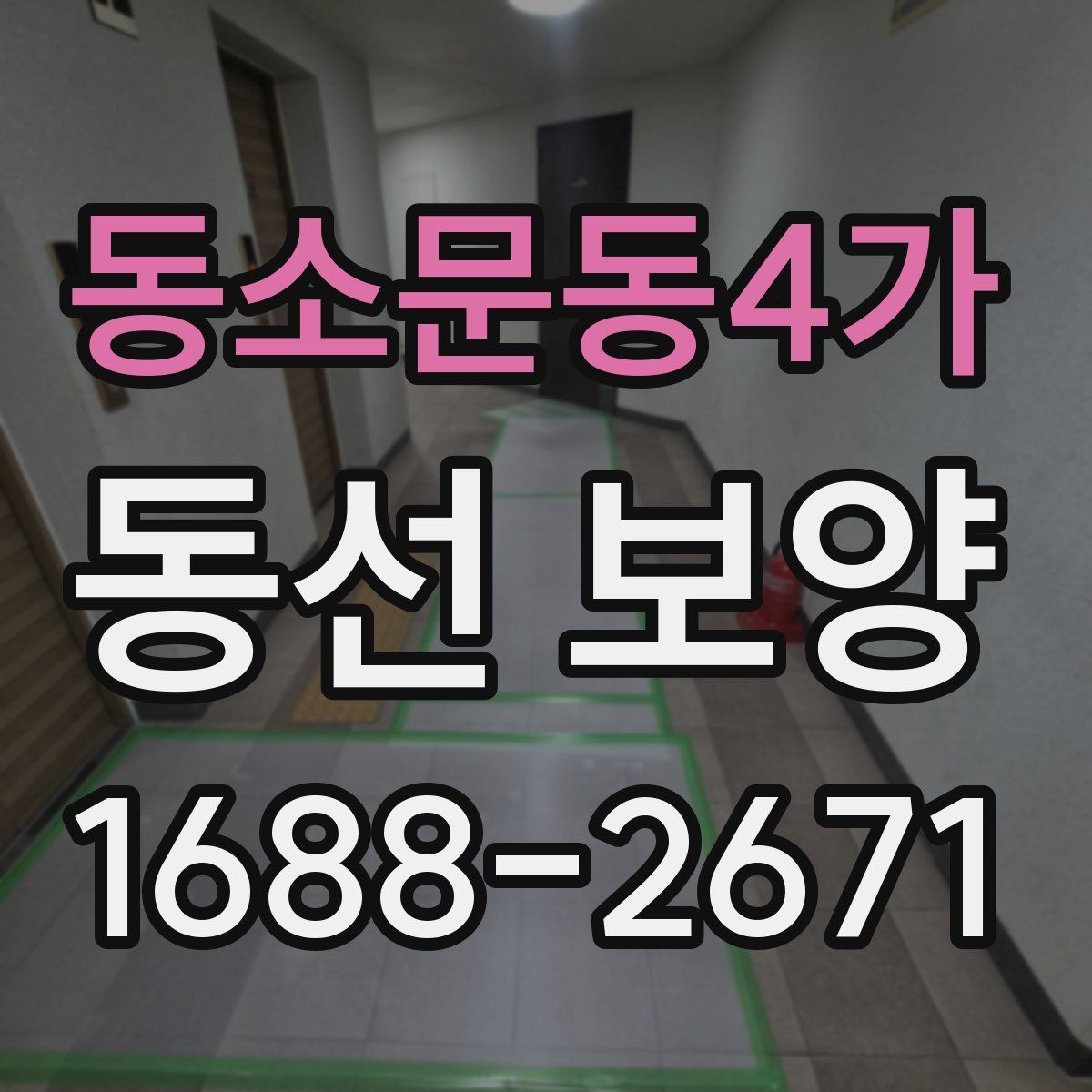 동소문동4가 동선 보양