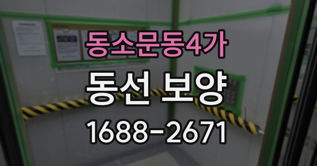 동소문동4가 동선 보양