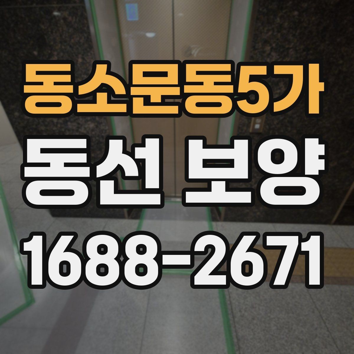 동소문동5가 동선 보양 자재별 활용처와 선택 팁