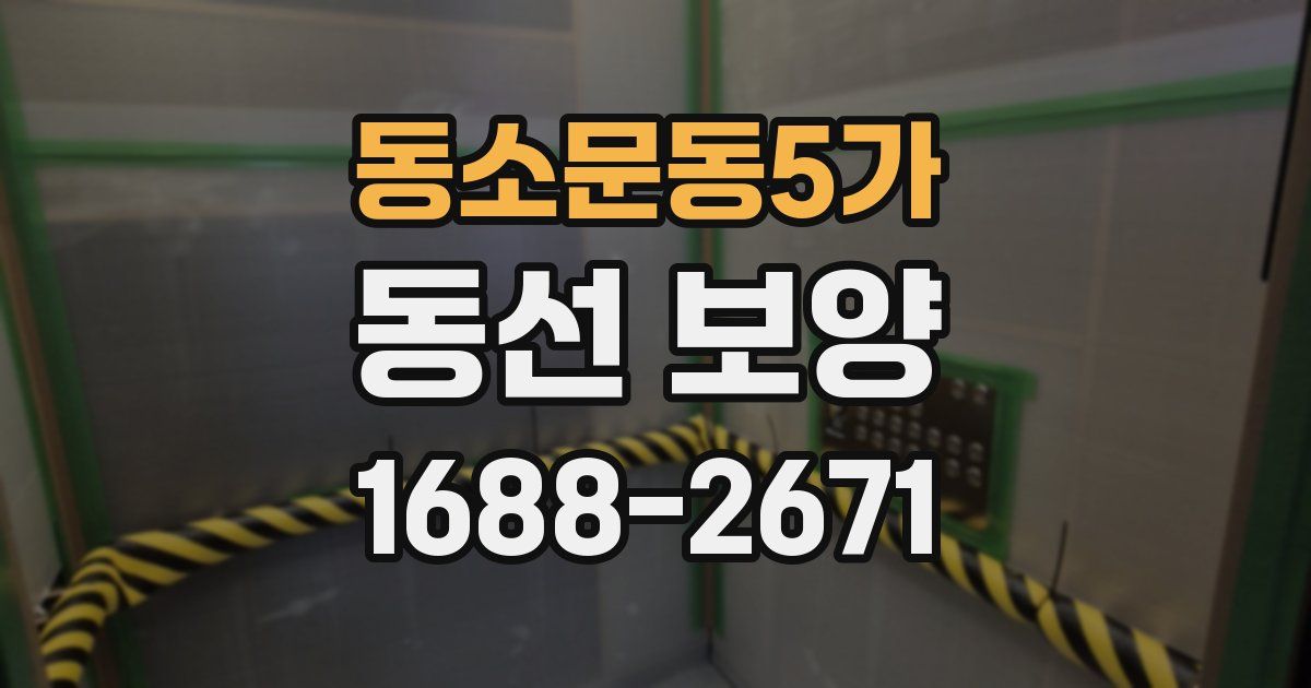 동소문동5가 동선 보양