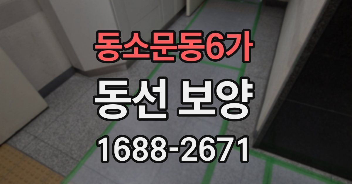 동소문동6가 동선 보양