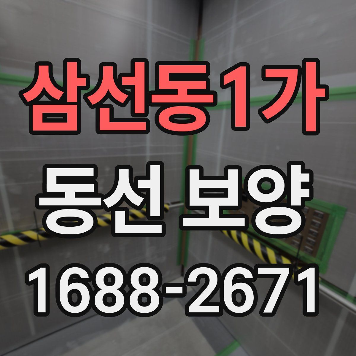 삼선동1가 동선 보양