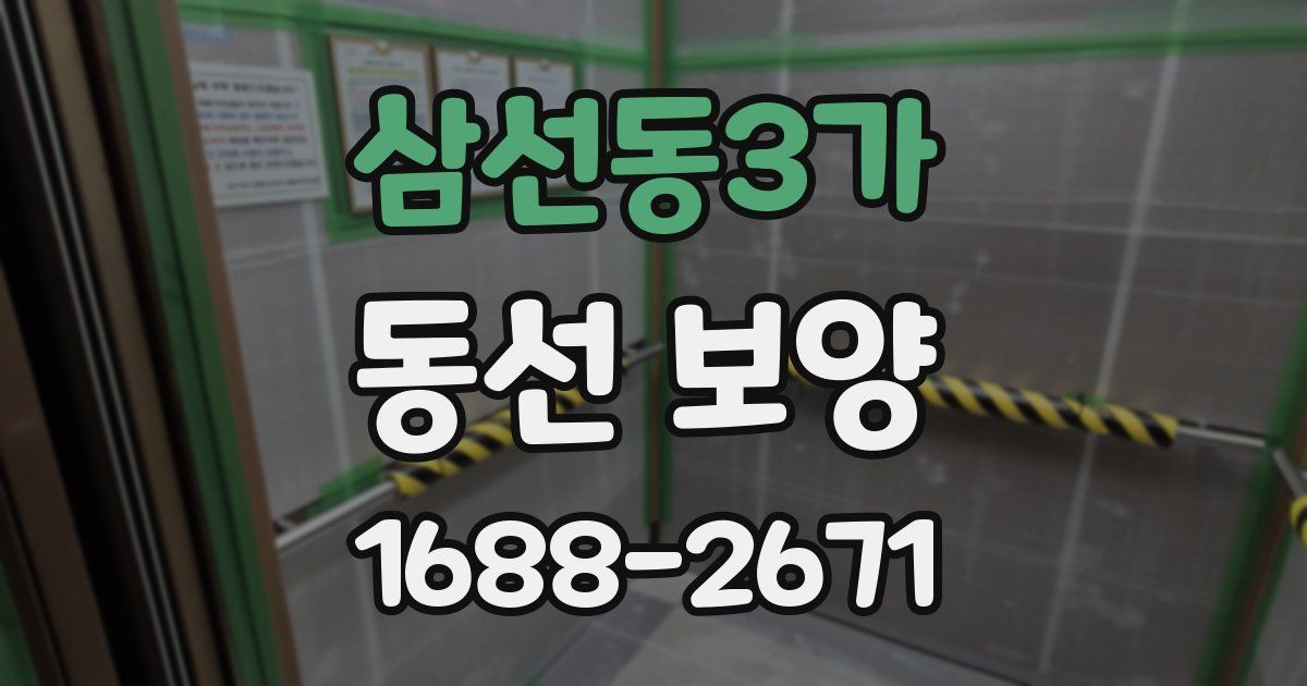 삼선동3가 동선 보양