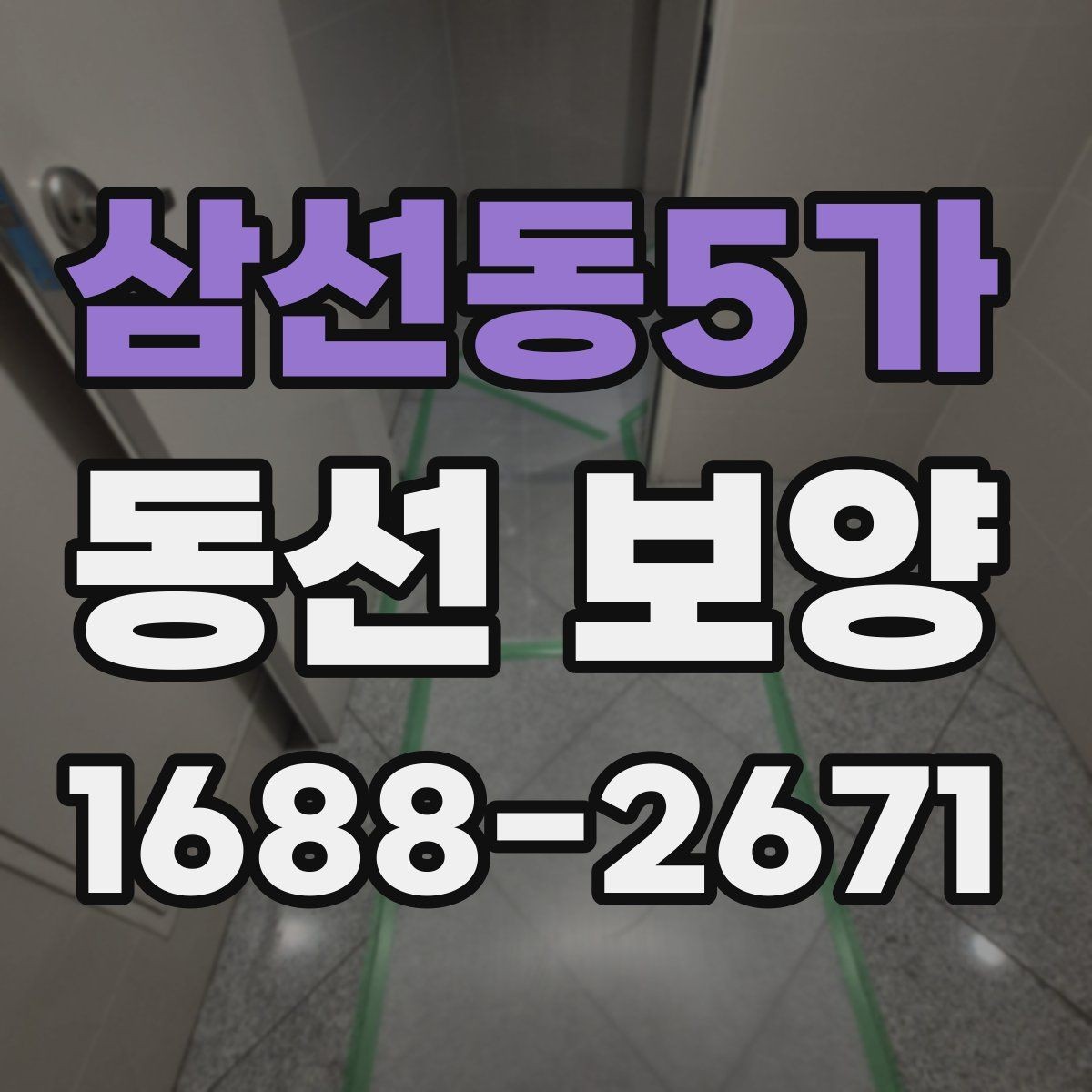 삼선동5가 동선 보양 현장 사진으로 보는 작업 단계