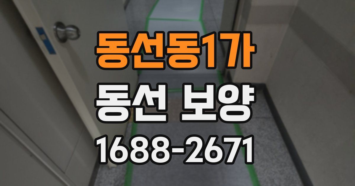 동선동1가 동선 보양