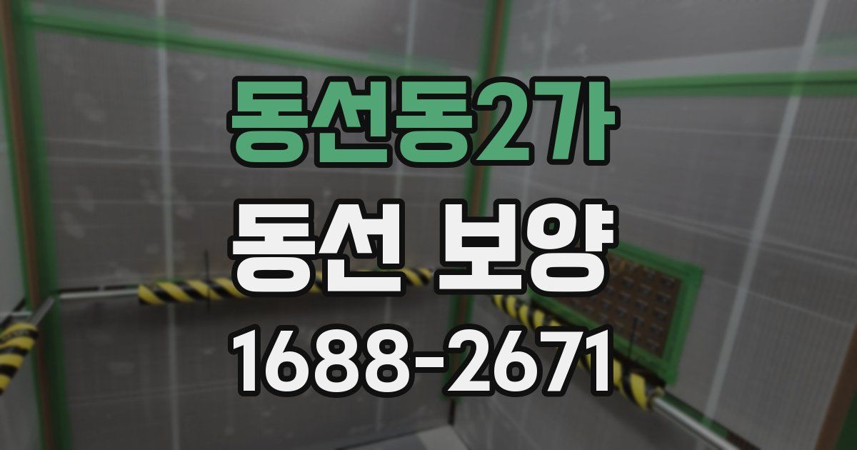 동선동2가 동선 보양