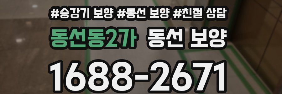 동선동2가 동선 보양