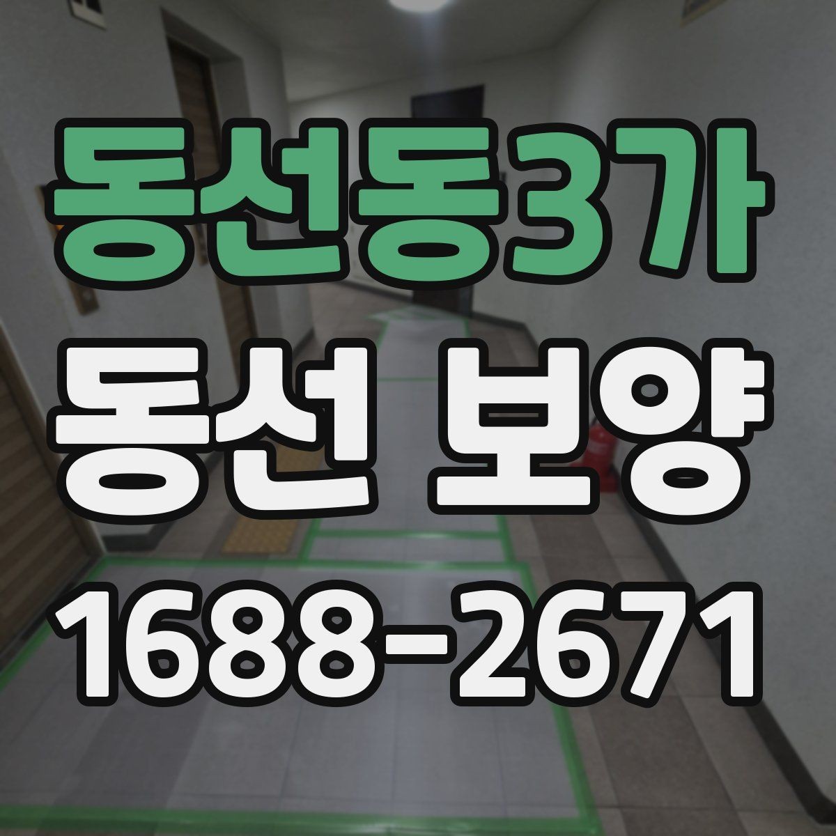 동선동3가 동선 보양 작업 전후 비교로 보는 변화