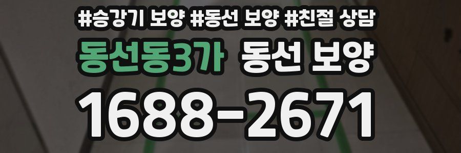 동선동3가 동선 보양