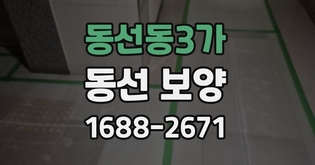 동선동3가 동선 보양