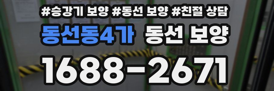 동선동4가 동선 보양