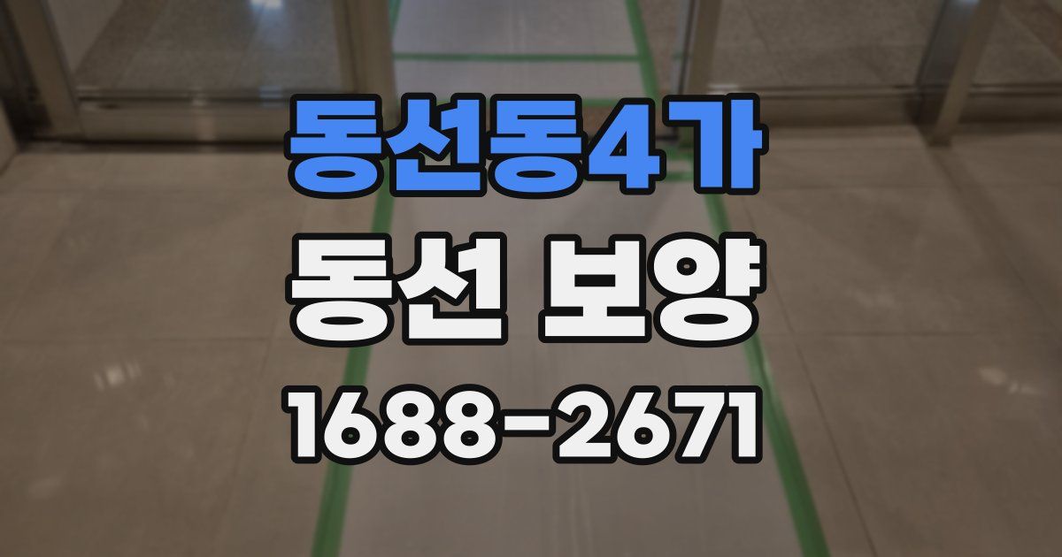동선동4가 동선 보양