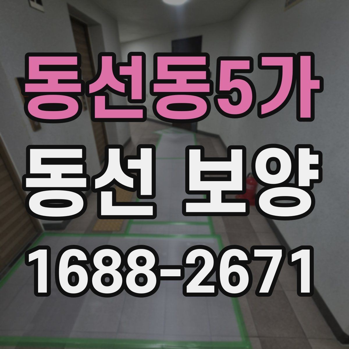 동선동5가 동선 보양 비용과 품질의 균형 잡기