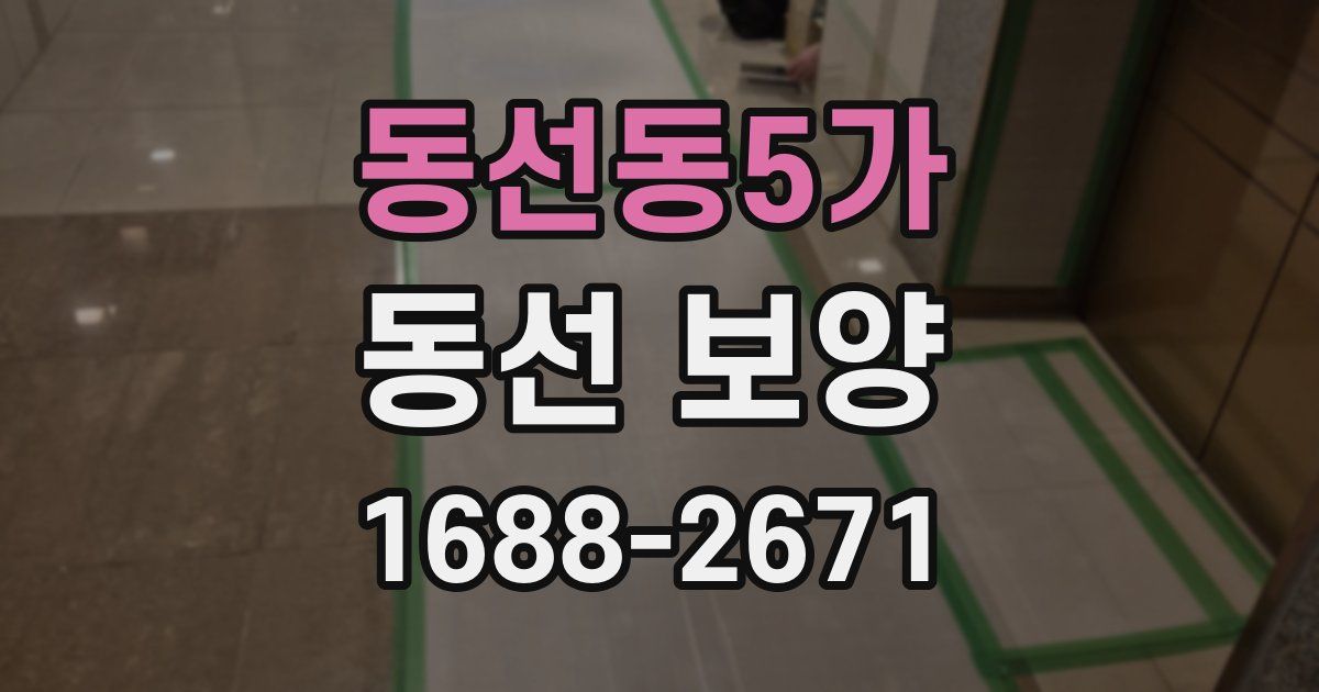 동선동5가 동선 보양