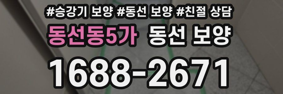 동선동5가 동선 보양
