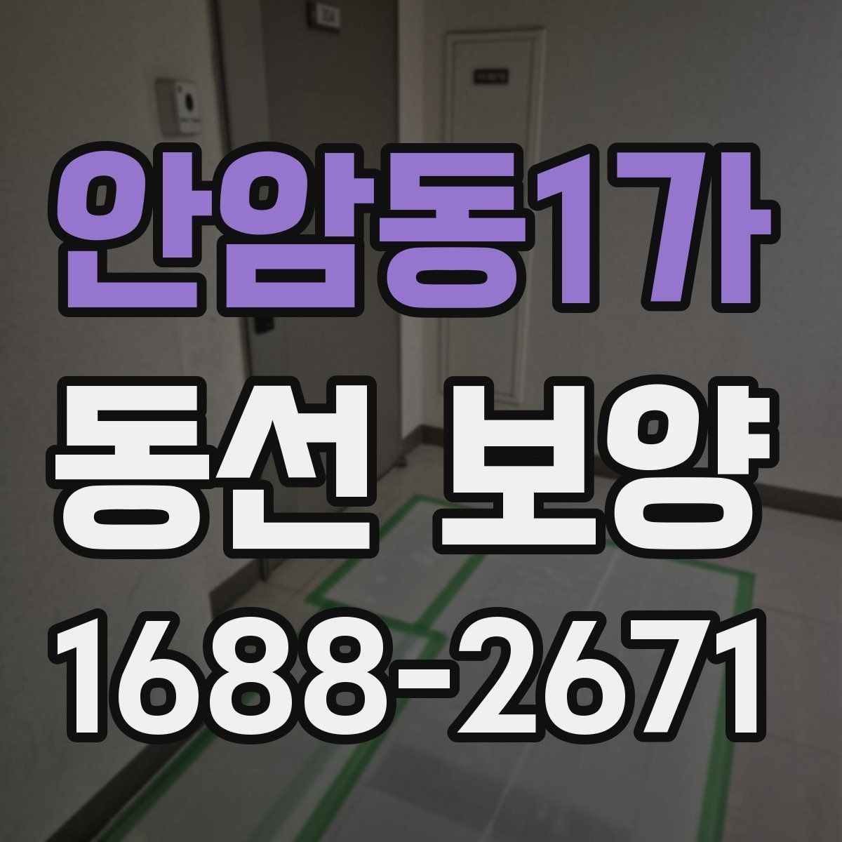안암동1가 동선 보양 과정별 역할과 확인 포인트