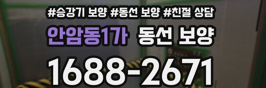 안암동1가 동선 보양