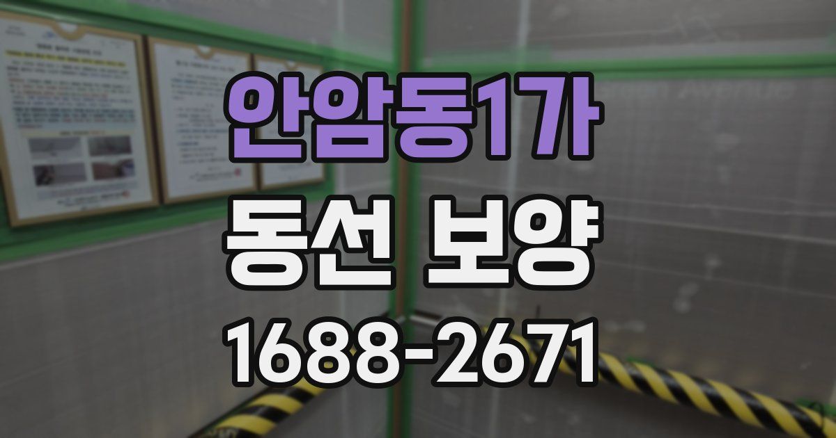 안암동1가 동선 보양