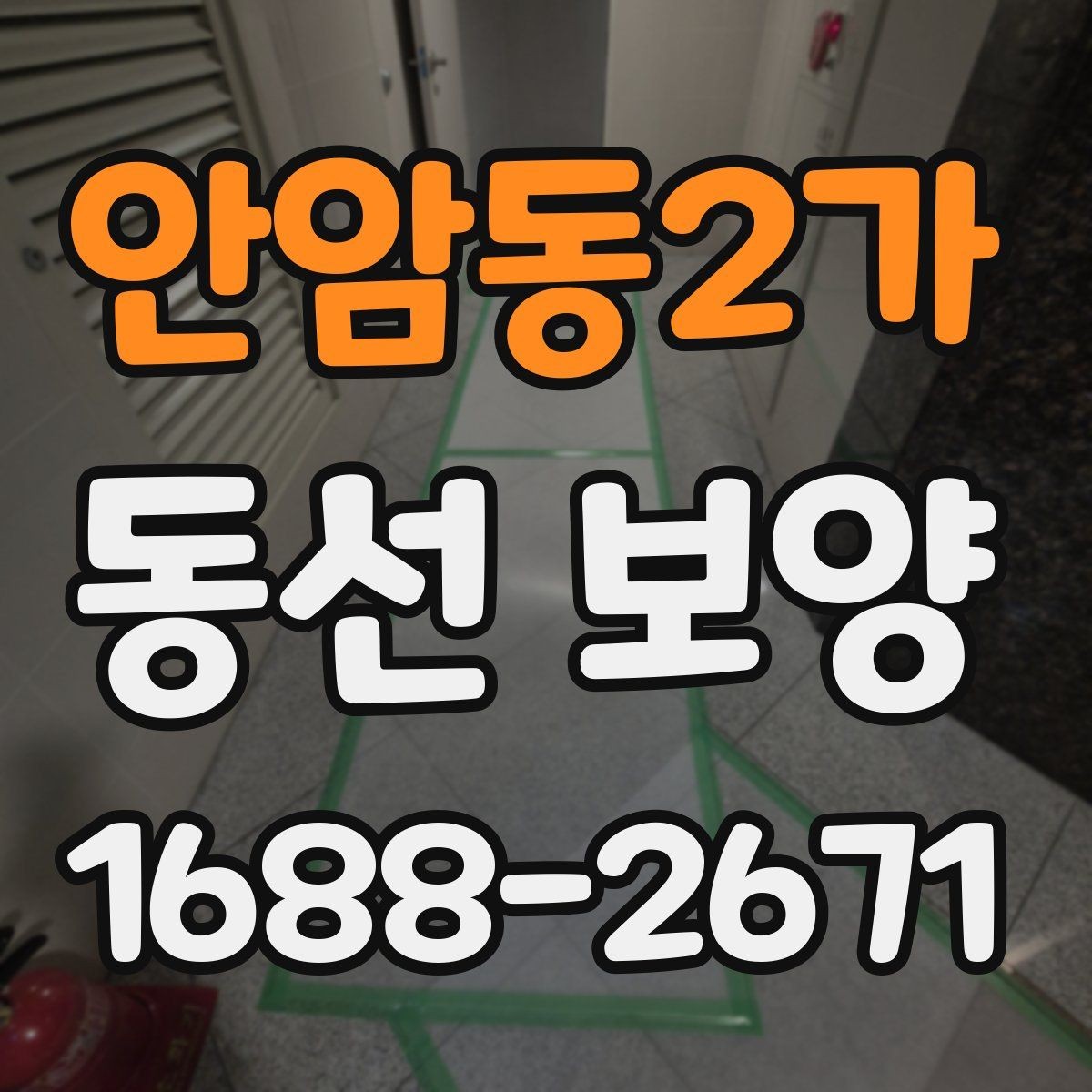 안암동2가 동선 보양 작업 시 인원 배치가 중요한 이유