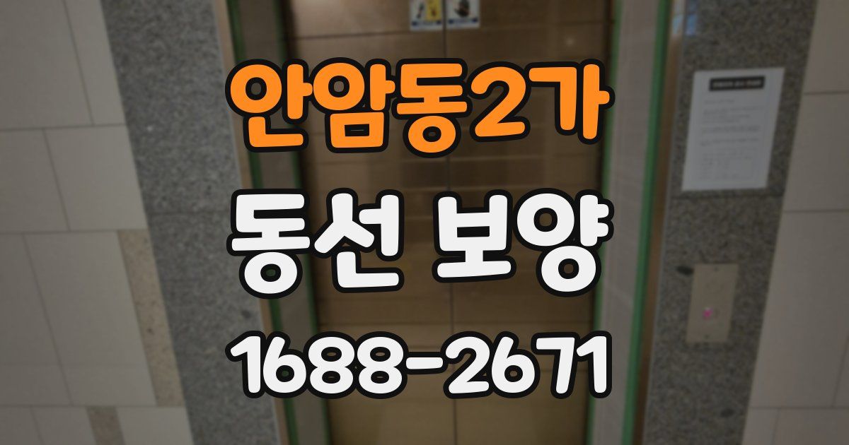 안암동2가 동선 보양