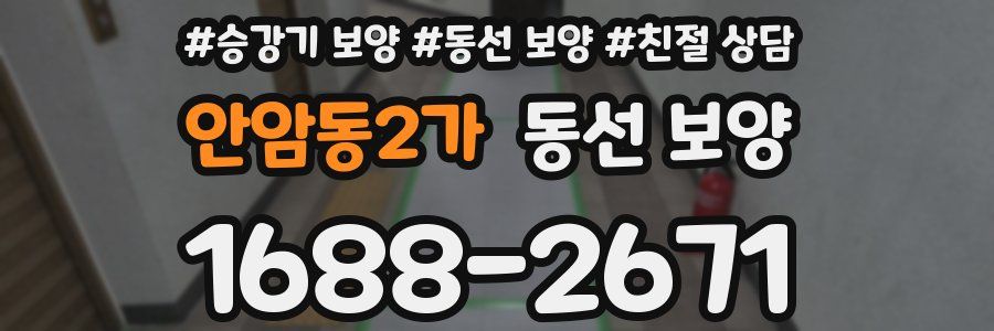 안암동2가 동선 보양