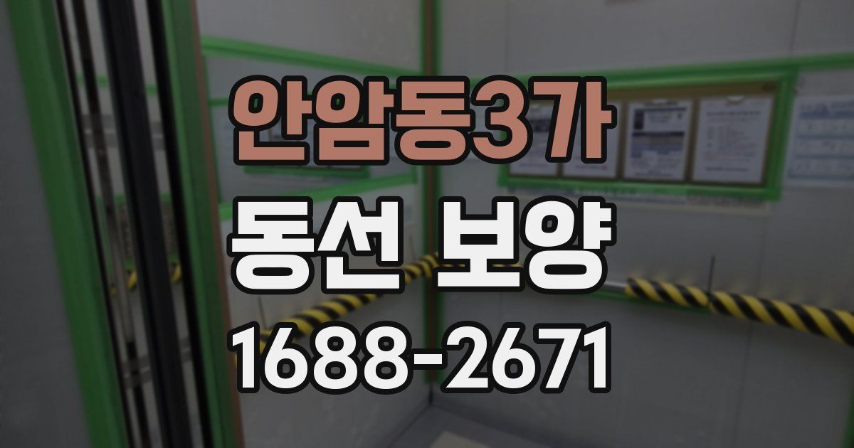 안암동3가 동선 보양