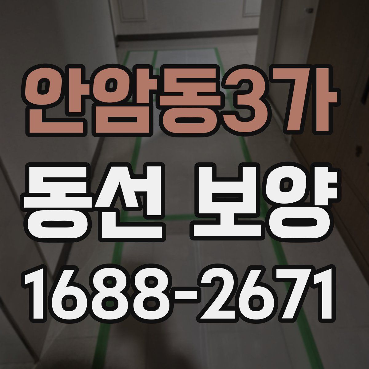 안암동3가 동선 보양