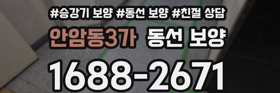 안암동3가 동선 보양