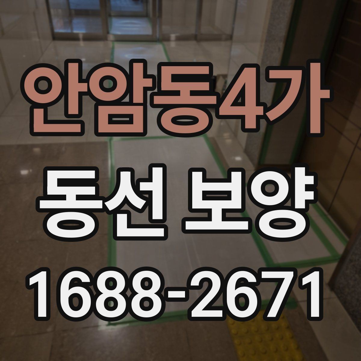 안암동4가 동선 보양 후 보수와 관리가 필요한 경우