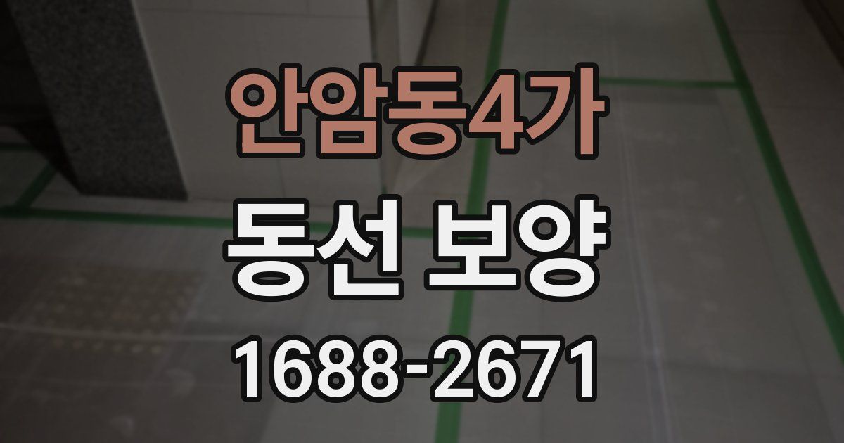 안암동4가 동선 보양