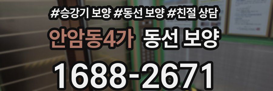 안암동4가 동선 보양