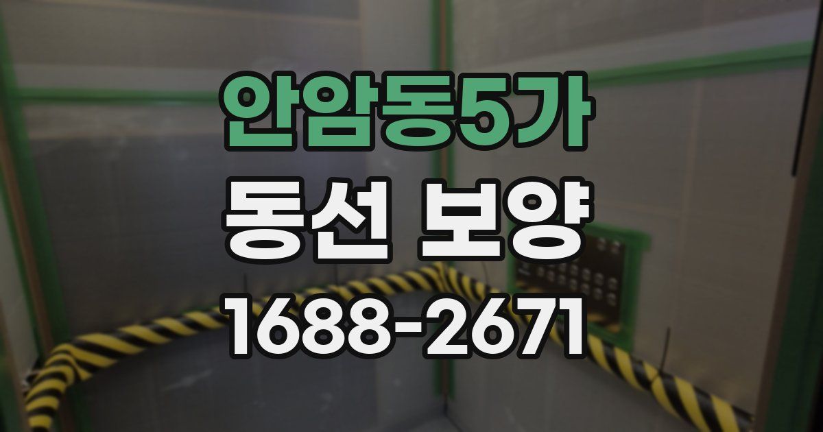 안암동5가 동선 보양