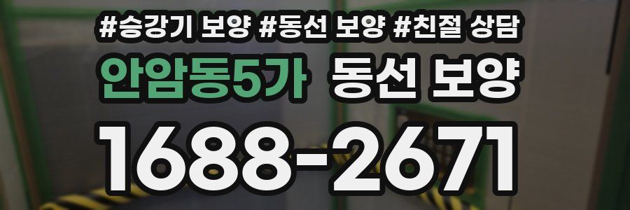 안암동5가 동선 보양