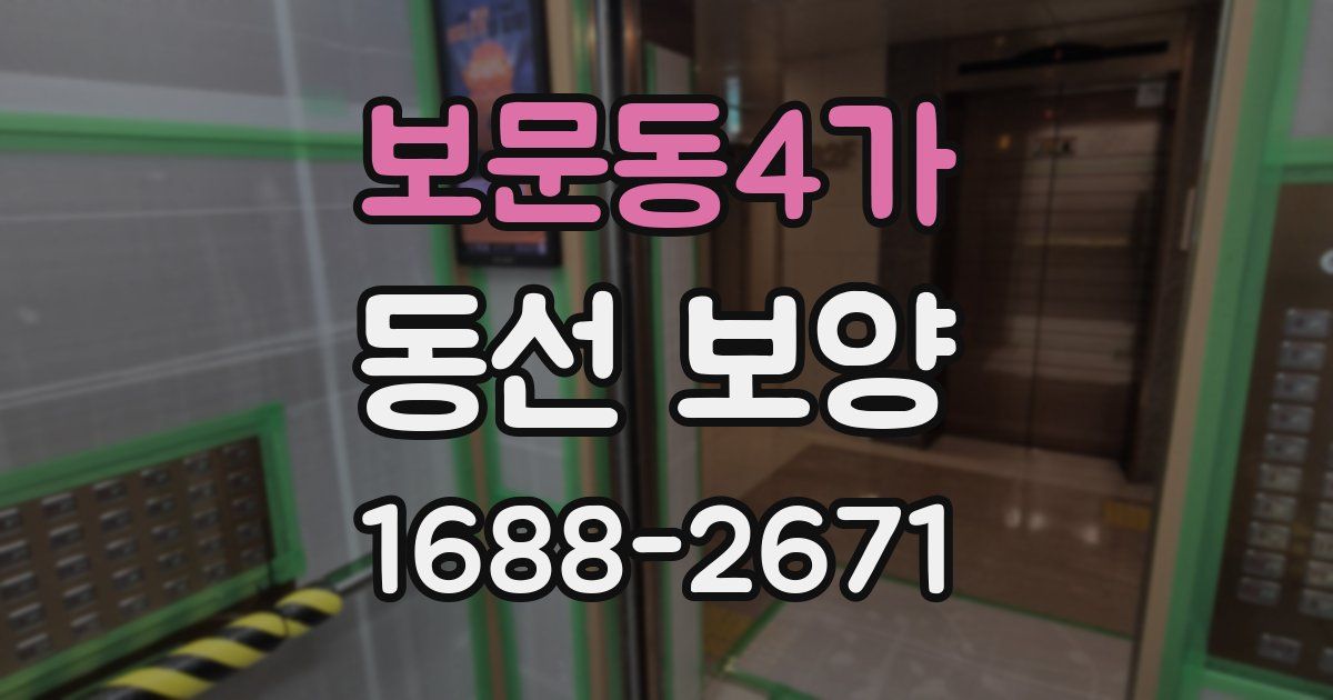 보문동4가 동선 보양