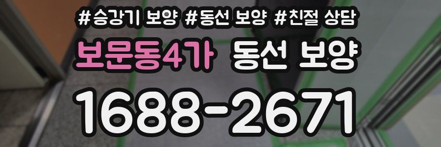 보문동4가 동선 보양
