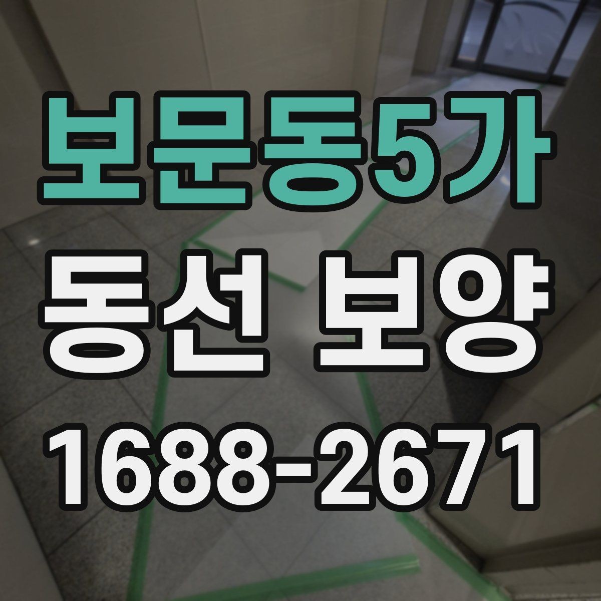 보문동5가 동선 보양 작업 후 손상 예방을 위한 관리법