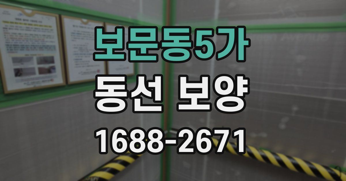 보문동5가 동선 보양