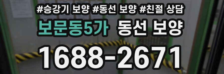 보문동5가 동선 보양