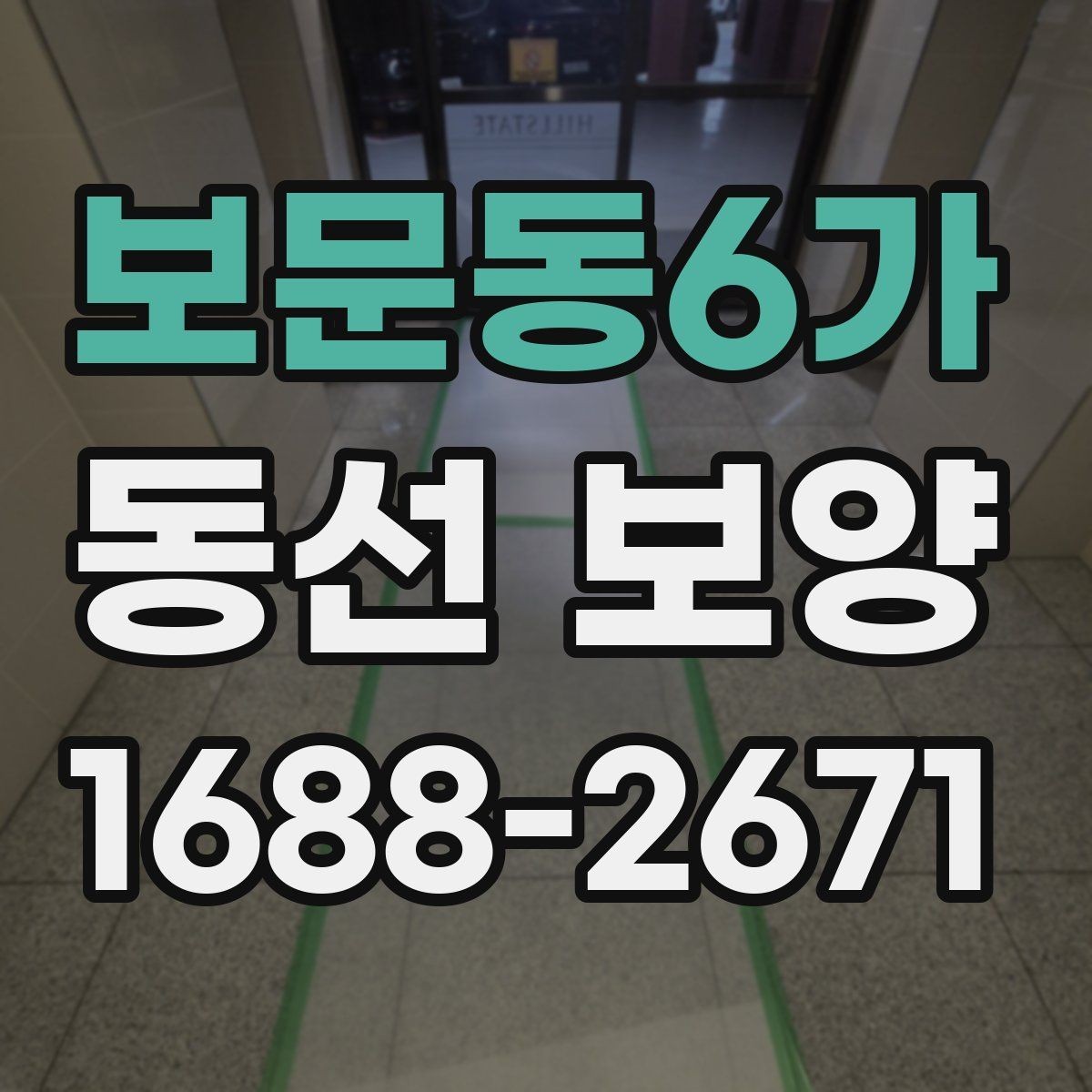 보문동6가 동선 보양 비용을 절감할 때 주의할 점