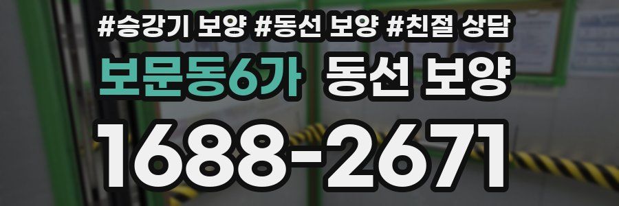 보문동6가 동선 보양