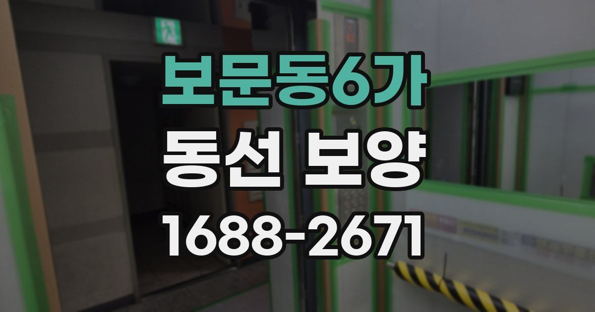 보문동6가 동선 보양