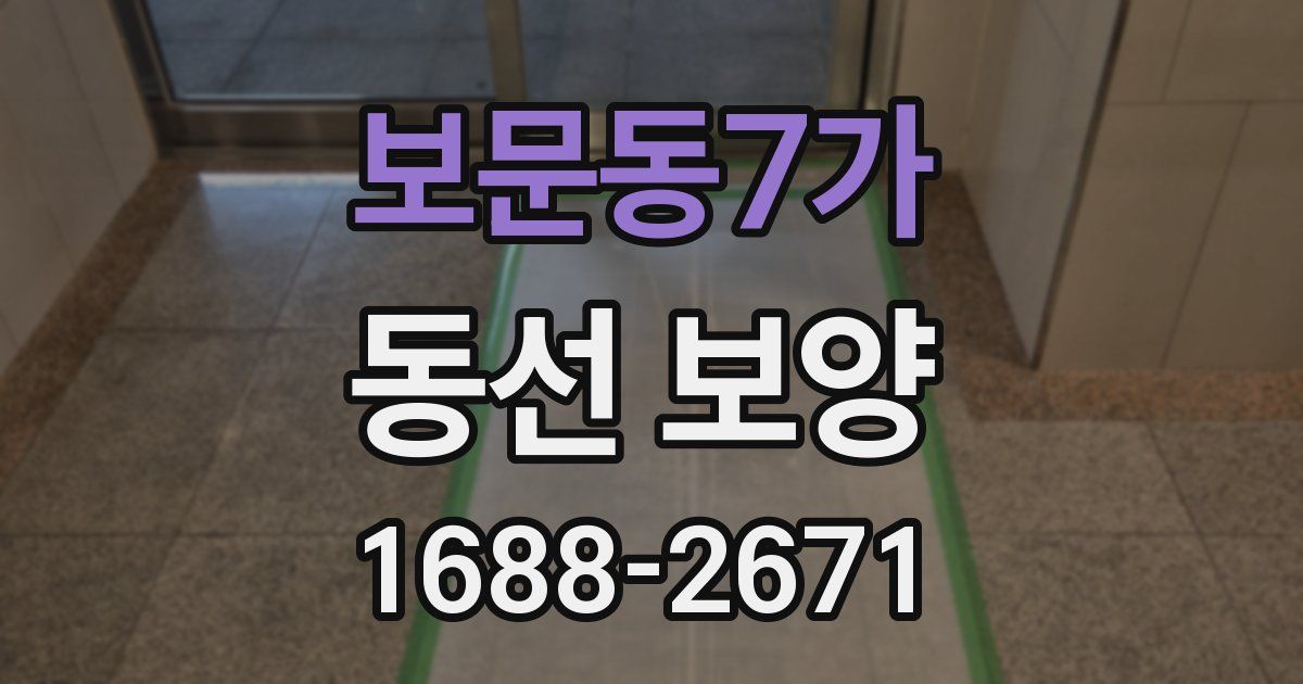 보문동7가 동선 보양